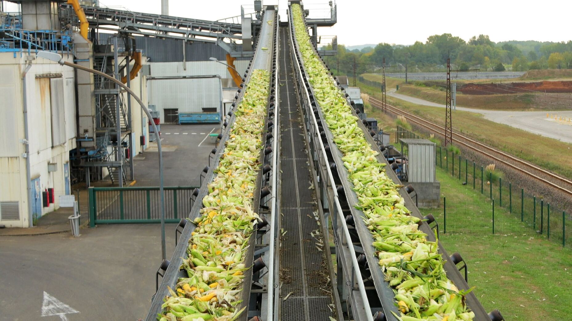 De mi-juillet à fin octobre, entre 90 et 100 camions, contenant chacun 27 tonnes de maïs, approvisionnent l'usine Seretram de General Mills.